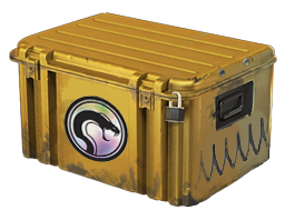反冲武器箱 Recoil Case