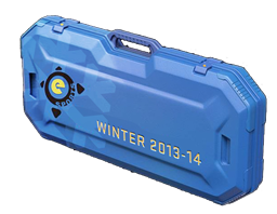 电竞 2013 冬季武器箱 eSports 2013 Winter Case