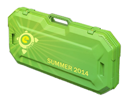 电竞 2014 夏季武器箱 eSports 2014 Summer Case
