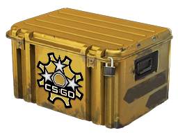 左轮武器箱 Revolver Case