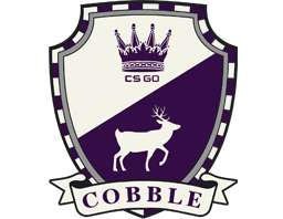古堡激战收藏品 The Cobblestone Collection