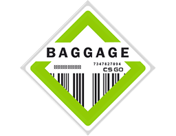 行李仓库收藏品 The Baggage Collection